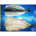 IQF atlantic herring fillet seafood